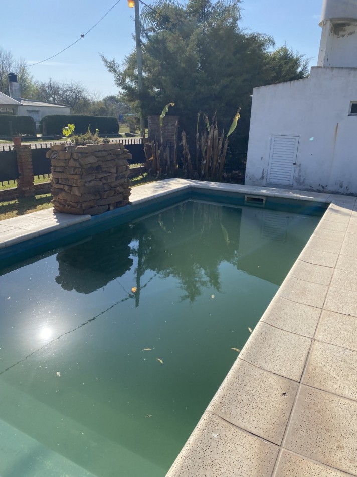 MEJICO 2018. SAUCE VIEJO