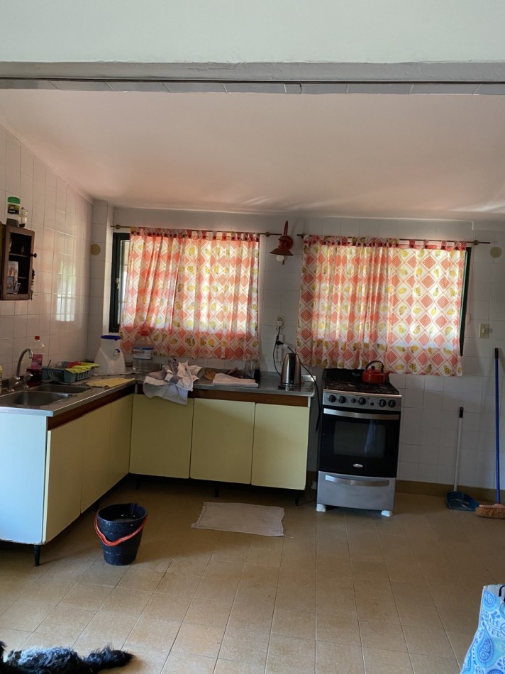 MEJICO 2018. SAUCE VIEJO