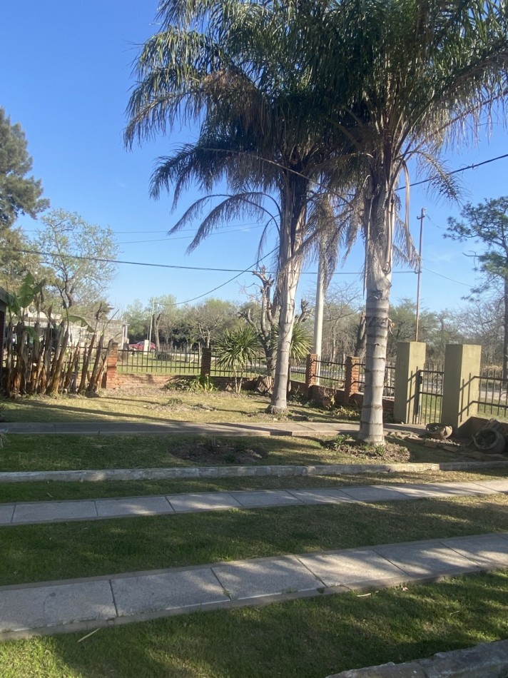 MEJICO 2018. SAUCE VIEJO