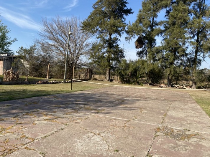 MEJICO 2018. SAUCE VIEJO